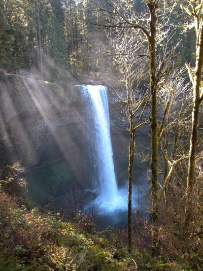 Silver Falls: South Falls in the Winter 19